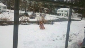 January storm-Haddler in front-1.22.12